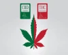 cbd-vs-thc-a-complete-guide-blog.webp